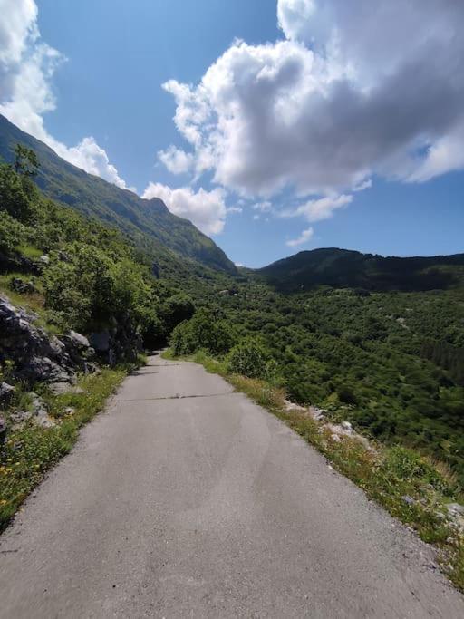 Nature Escape Montenegro كوتور المظهر الخارجي الصورة
