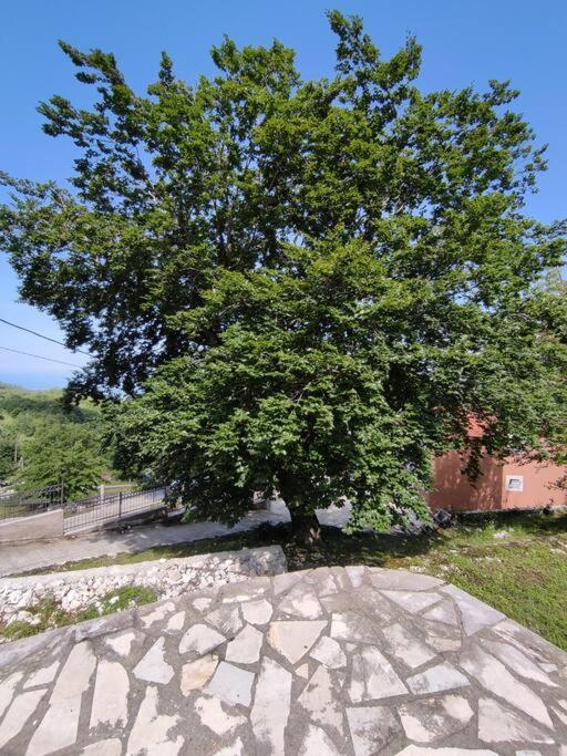 Nature Escape Montenegro كوتور المظهر الخارجي الصورة