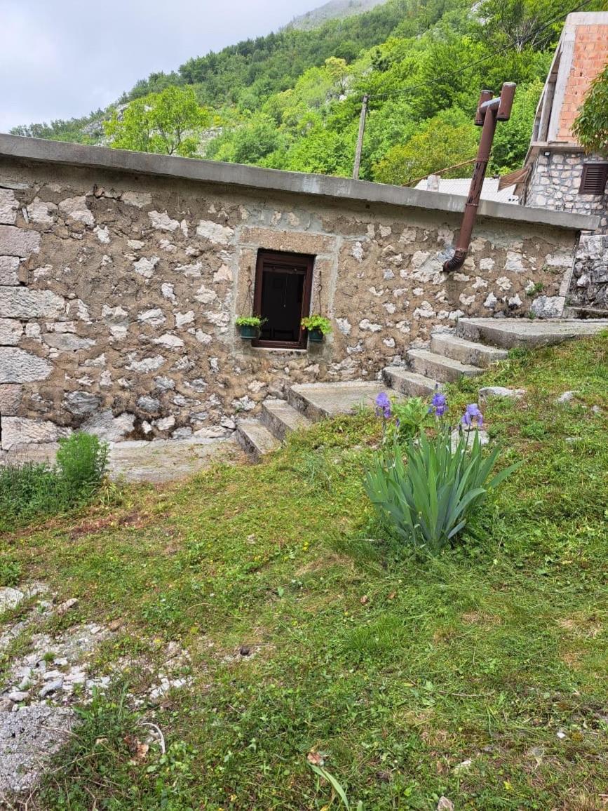 Nature Escape Montenegro كوتور المظهر الخارجي الصورة