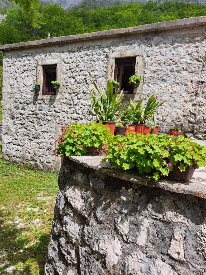 Nature Escape Montenegro كوتور المظهر الخارجي الصورة