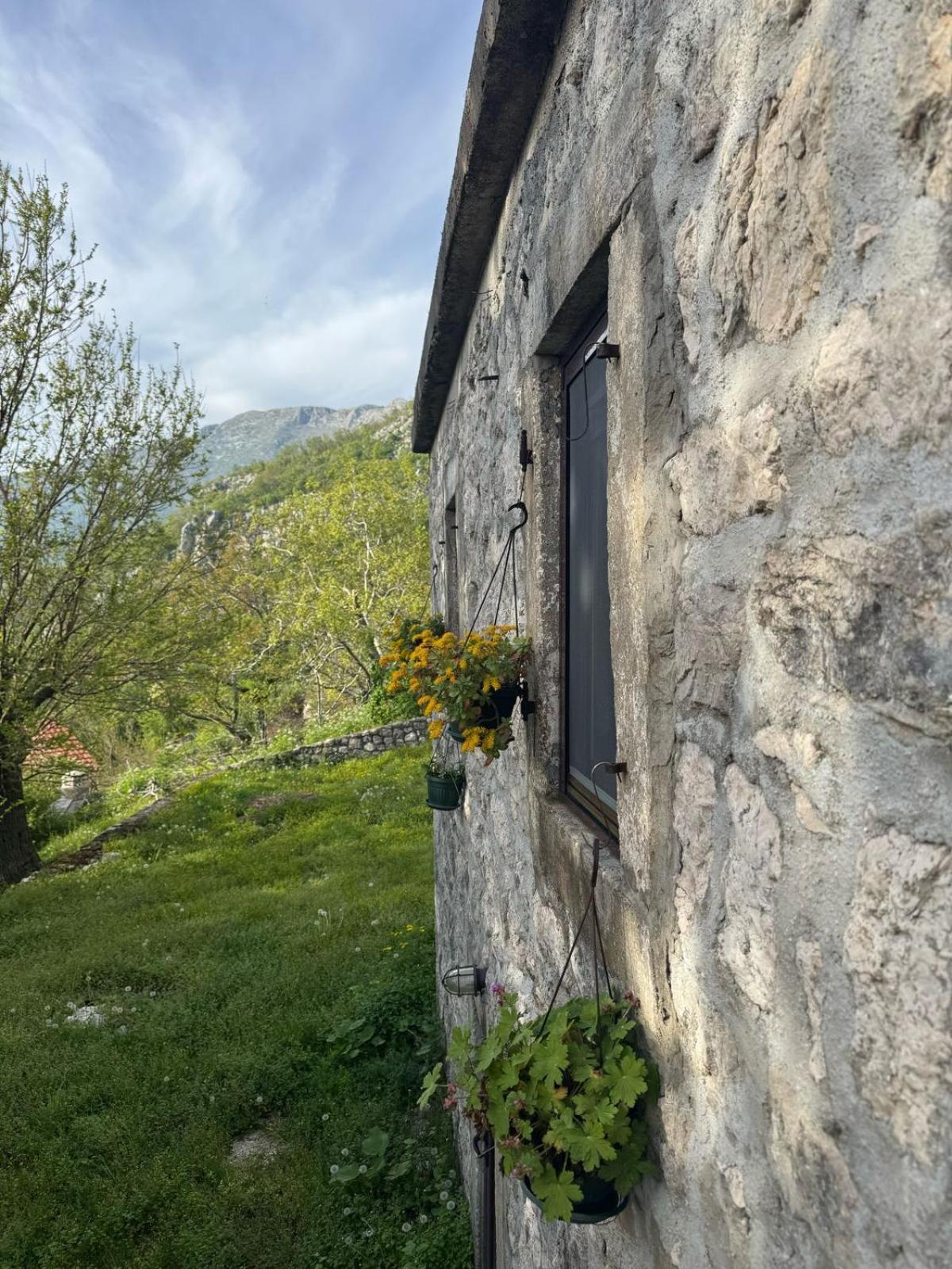 Nature Escape Montenegro كوتور المظهر الخارجي الصورة