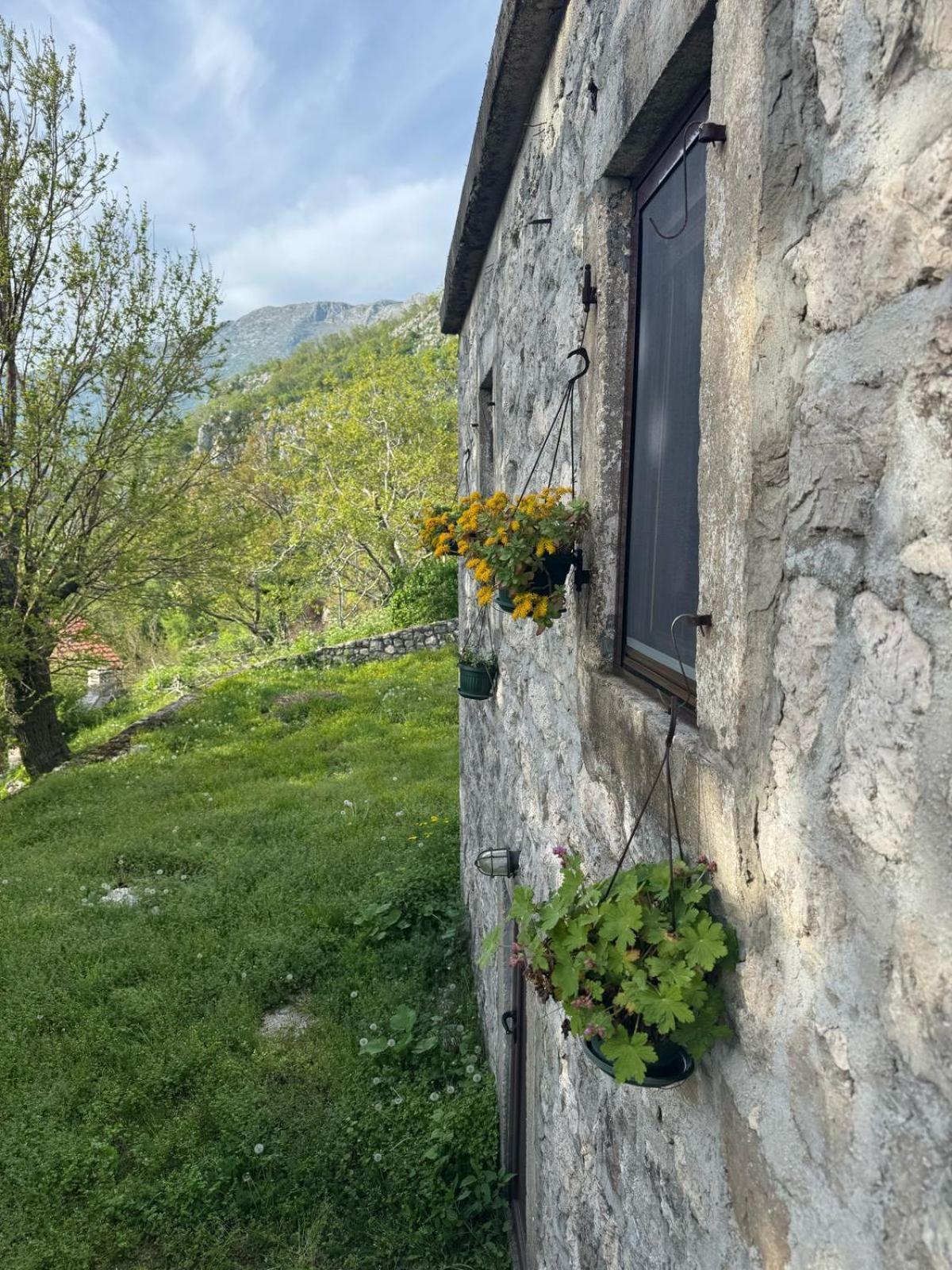 Nature Escape Montenegro كوتور المظهر الخارجي الصورة